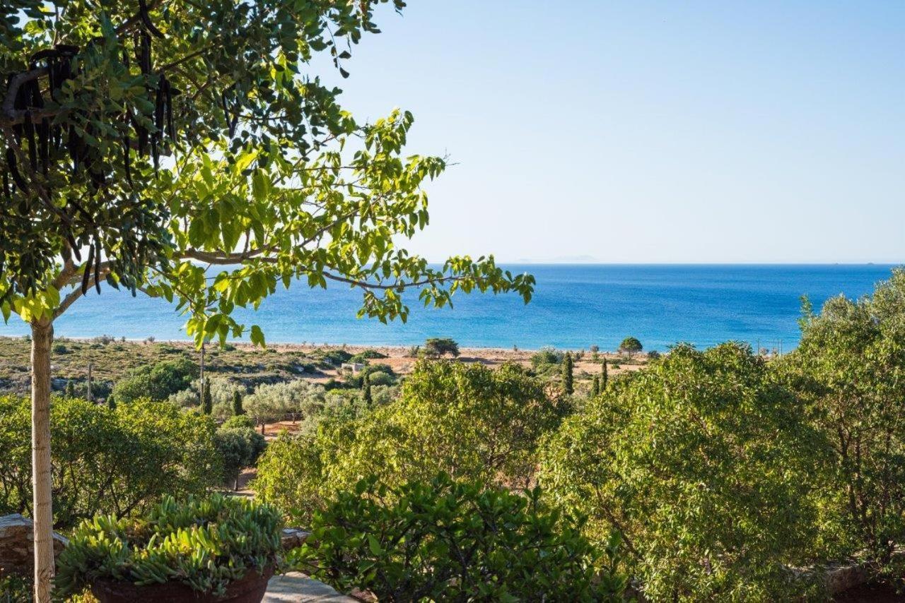 Villa Venus Авлемонас Экстерьер фото